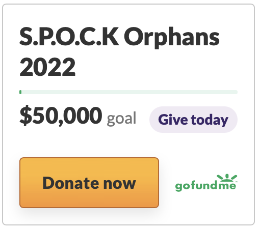 Support Program for Orphans in Care of Kin Donation Link